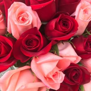 Meet your Posher, Marie